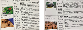 生薬